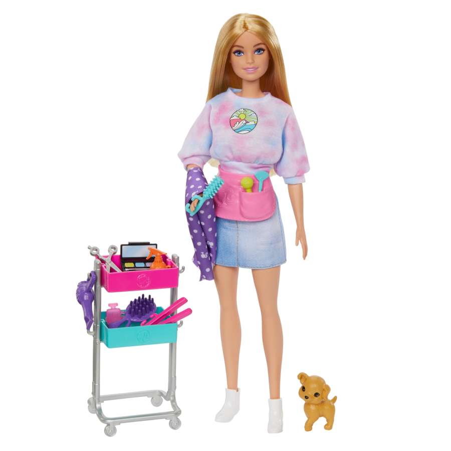 Barbie Malibu Stylist - Dolls and Accessories